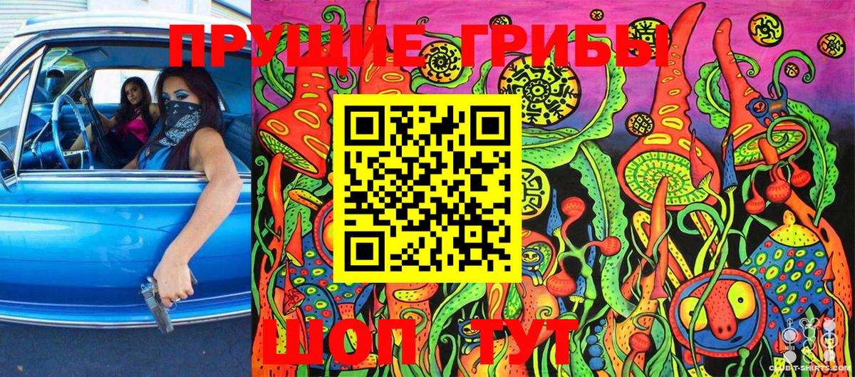 Галлюциногенные грибы мухоморы  Вход с VPN  где продают   Кудрово 