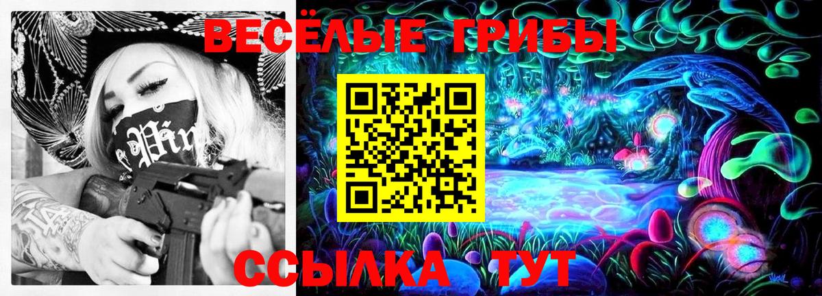Псилоцибиновые грибы Psilocybine cubensis Кудрово